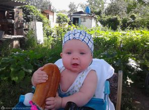 Мой любимый озорник отдыхает на даче, от городской суеты!