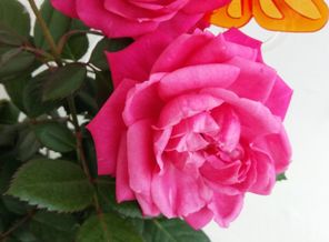 20150803_120739