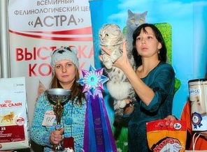 343342-8493d-62107946-m549x500-u39917 - с эффектами