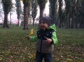 листик 🍂