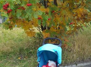 IMG-1473690033310-V
