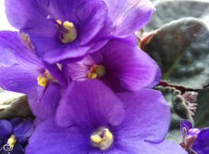 IMG_20170405_164854