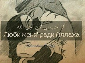 BQFO8INFwjq