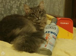 Марсик - алкоголик ☺