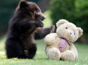 play-with-me