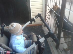 IMG-1459431422526-V