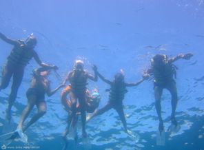IMG_9319
