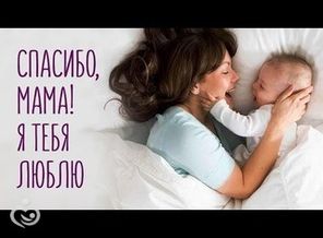 a327ba9365590e44640ad018fe7e3531