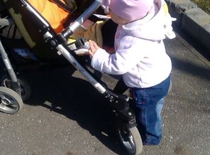 IMAG0065