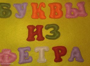 IMAG2637