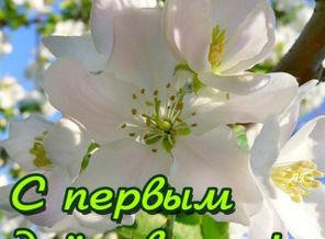 IMG_20160224_140822