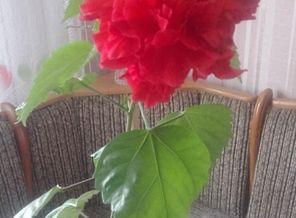 20150619_132416