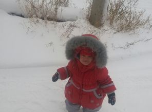 20151129_113636