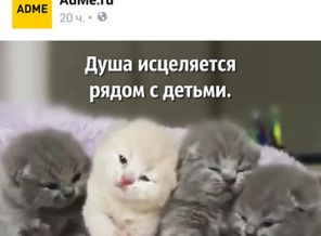Screenshot_2015-09-27-16-50-22