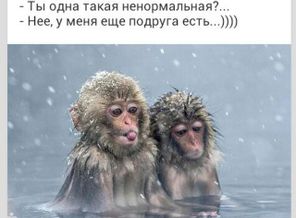IMG_20160418_073735_15