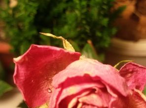 20151220_195828