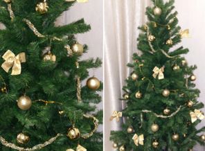 IMG_20161206_113300