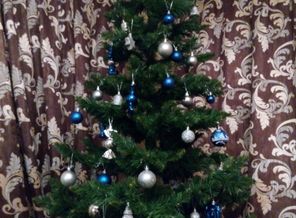 IMG_20151220_173900