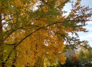IMG_20160927_151732516_HDR