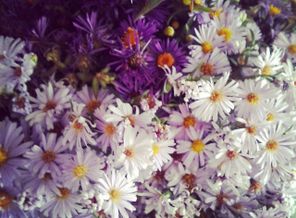 IMG_20151002_121008
