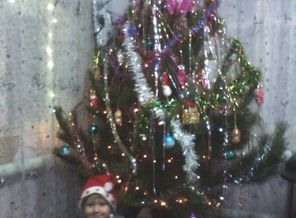 IMG_21122015_182407