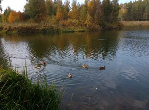 IMG_20160925_152529065