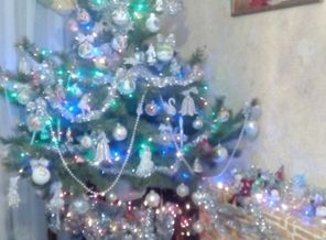 IMG_20161224_215319_532