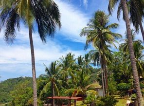 IMG_20151223_003657