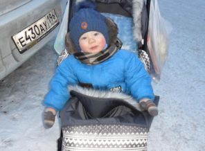 Ёжик на прогулке?❄⛄