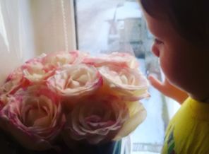 IMG_20170210_130650_316
