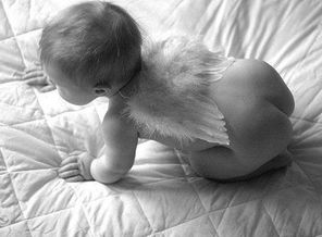 IMG_20160711_164645_0