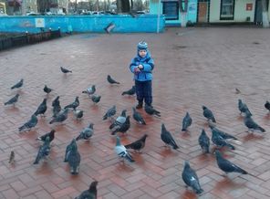20160115_213230