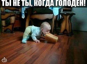 4u3880q1hr0gi2zvbm7sp0jyp