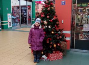 IMG_20151218_084113