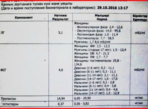 Анализ крови содержание гормонов и медиаторов и методом электрохемилюминесценции.