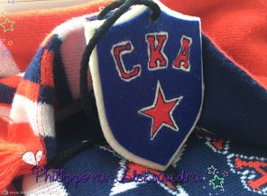 Шильдик СКА