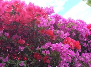 20160616_120229