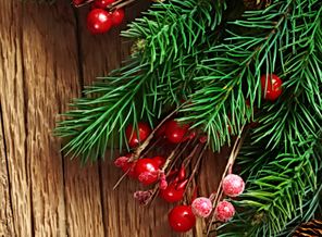 Christmas_Tree-wallpaper-11066475