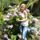 Catarina
