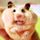 Hamster