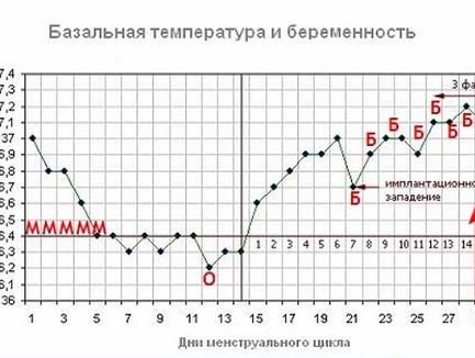 Температура при беременности: почему возникает и что делать