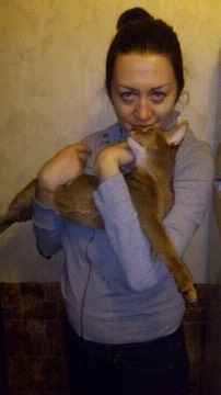 Абиссинскому котику ищем кошечку