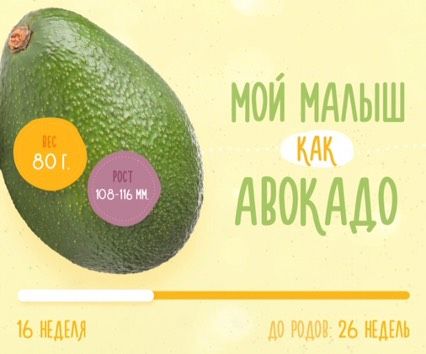 Pro 15 недель ???