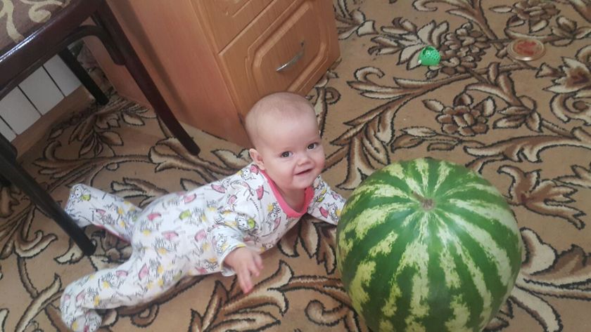 Скоро опять пойдут арбузы,