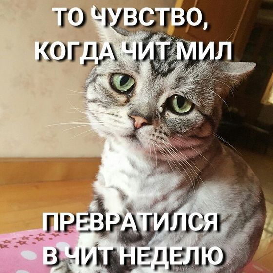 Марафон #ясмогу 2.0 день 27----9 советов для тех кто хочет похудеть--