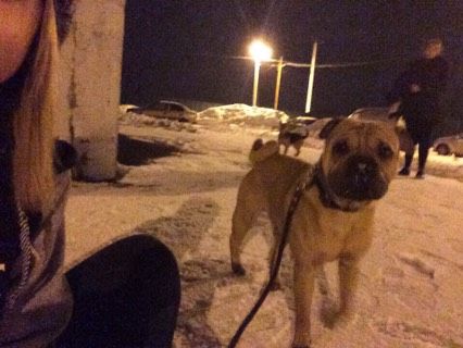 Подобрыш мой❤️