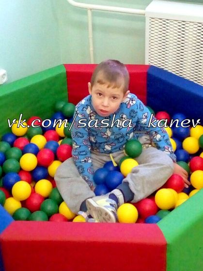 Новости Саши Канева 20 декабря 2016 года. Трудимся в поте лица!