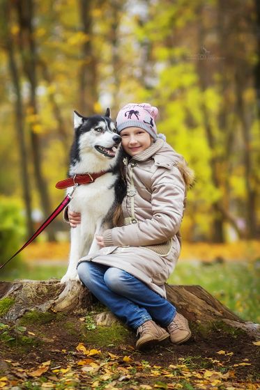 Мини фотопроект с хаски) Фотопост.