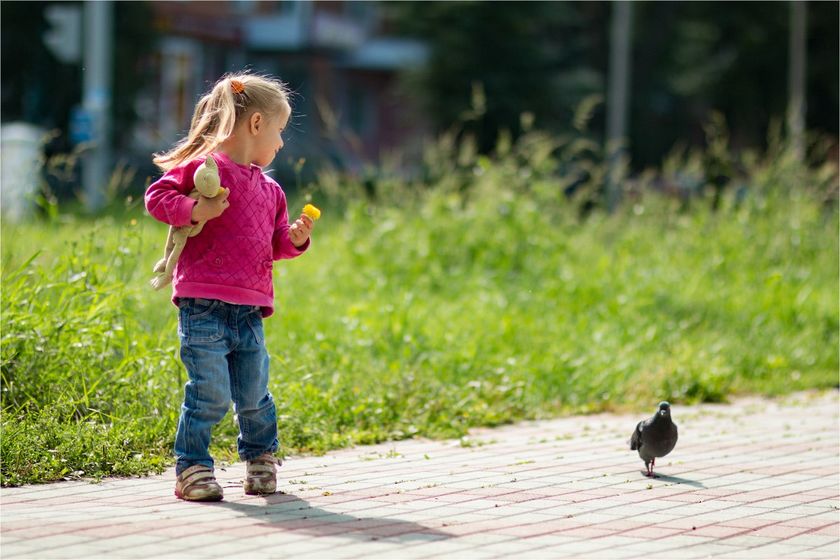Фотопрогулочка)