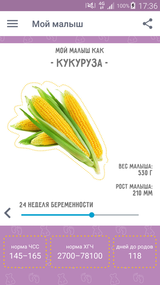 Кукурузик мой